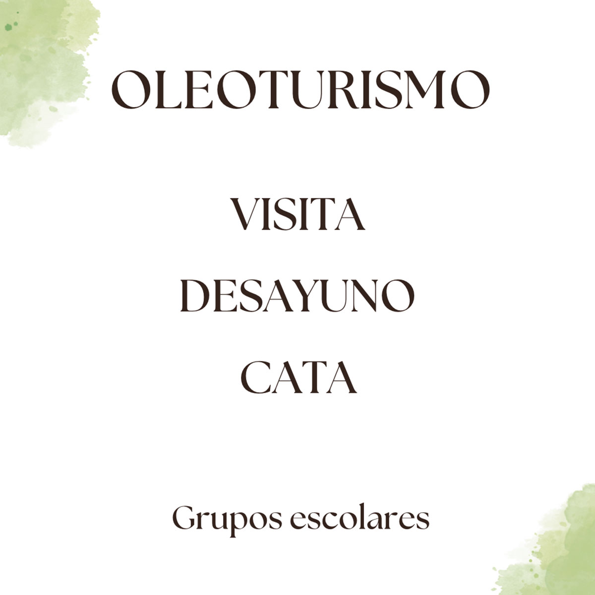 Visita para Grupos Escolares