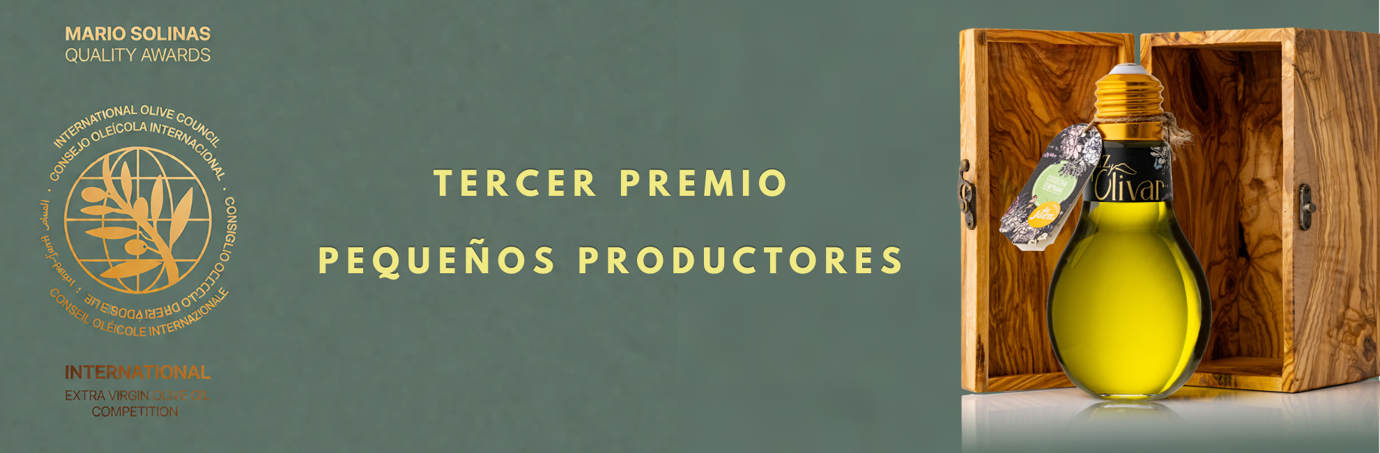 TERCER PREMIO-MARIO SOLINAS (1)